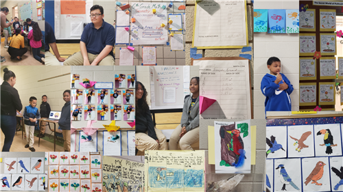 A collage of students showing their work 